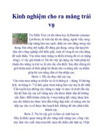 Kinh nghiệm cho ra măng trái vụ doc