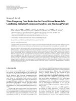 Báo cáo sinh học: 