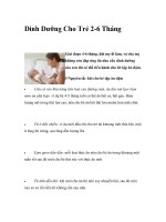 Dinh Dưỡng Cho Trẻ 2-6 Tháng pdf