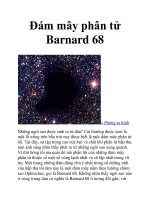 Đám mây phân tử Barnard 68 potx