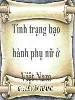 Tình trạng bạo hành phụ nữ ở việt nam