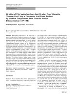 Báo cáo hóa học: 