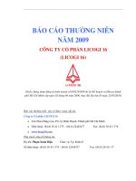 báo cáo thường niên năm 2009 công ty cổ phần licogi
