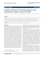 Báo cáo hóa học: 