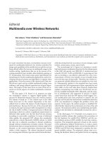 Báo cáo hóa học: 