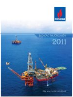 báo cáo thường niên 2011 tập đoàn dầu khí việt nam năng lượng cho phát triển đất nước