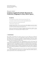 Báo cáo hóa học: 