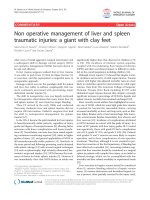 Báo cáo hóa học: 