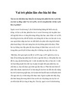 Vai trò phân lân cho lúa hè thu pptx