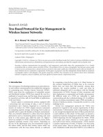 Báo cáo hóa học: 