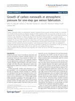 Báo cáo hóa học: 