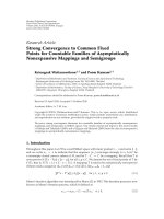 báo cáo hóa học: