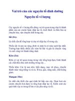 Vai trò của các nguyên tố dinh dưỡng Nguyên tố vi lượng pdf
