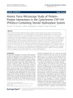 Báo cáo hóa học: 