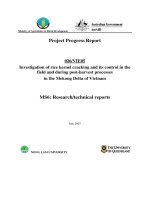 Investigation of rice kernel cracking and its control in the field and during post-harvest processes in the Mekong Delta of Vietnam - MS6 