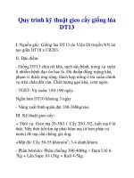 Quy trình kỹ thuật gieo cấy giống lúa DT13 ppt