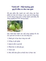 VietGAP - Một hướng giải quyết đầu ra cho rau quả doc