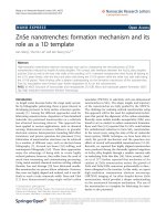 Báo cáo hóa học: 