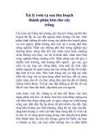 Xử lý rơm rạ sau thu hoạch thành phân bón cho cây trồng doc