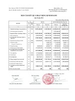 BÁO CÁO KẾT QUẢ HOẠT ĐỘNG KINH DOANH Quý II năm 2013