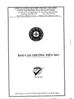 báo cáo thường niên công ty cp thủy điện vĩnh sơn sông hinh 2013