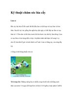 Kỹ thuật chăm sóc lúa cấy pdf