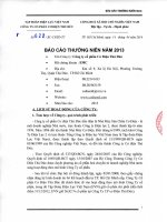 báo cáo thường niên 2013 tập đoàn điện lực việt nam công ty cổ phần cơ điện thủ đức