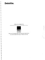 Báo cáo tài chính hợp nhất đã được kiểm toán năm 2012