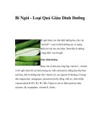 Bí Ngòi - Loại Quả Giàu Dinh Dưỡng pot