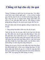 Chống rét hại cho cây ăn quả pptx