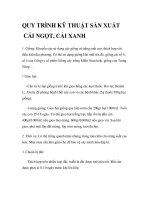 QUY TRÌNH KỸ THUẬT SẢN XUẤT CẢI NGỌT, CẢI XANH ppt