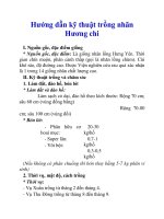 Hướng dẫn kỹ thuật trồng nhãn Hương chi pptx