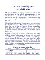 Chế biến tiêu trắng - nhu cầu và giải pháp docx