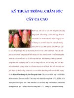 KỸ THUẬT TRỒNG, CHĂM SÓC CÂY CA CAO doc