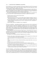 John Wiley Accountants Handbook Volume 2_2 potx