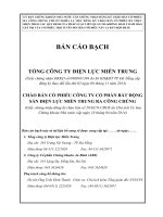 bản cáo bạch tổng công ty điện lực miền trung chào bán cổ phiếu công ty cổ phần bất động sản điện lực miền trung ra công chúng