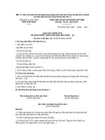 Mẫu 11: Báo cáo thành tích đề nghị phong tặng danh hiệu Anh hùng cho tập thể có thành tích đặc biệt xuất sắc trong thời kỳ đổi mớ docx