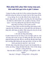 Biện pháp khắc phục hiện tượng rụng quả, khô cành khô quả trên cà phê Catimor docx