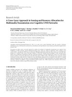 Báo cáo hóa học: 