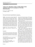 Báo cáo hóa học: 