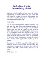 Cách phòng trừ sâu bệnh trên cây có múi pptx