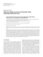 Báo cáo hóa học: 