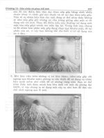 Hướng dẫn sử dụng và tự sửa chữa máy Scanner đời mới part 10 pdf