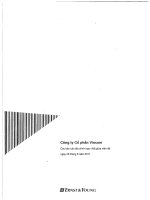 công ty cổ phần vincom các báo cáo tài chính hợp nhất giữa niên độ ngày 30 6 2011