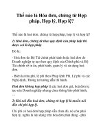 Thế nào là hoá đơn, chứng từ hợp pháp, hợp lý và hợp lệ? ppt