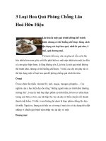 3 Loại Hoa Quả Phòng Chống Lão Hoá Hữu Hiệu pdf