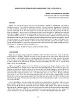 Nghiên cứu khoa học 