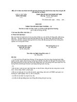 Mẫu số 13: Báo cáo thành tích đề nghị tặng thưởng theo đợt thi đua hoặc theo chuyên đề doc