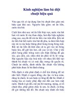 Kinh nghiệm làm bả diệt chuột hiệu quả docx