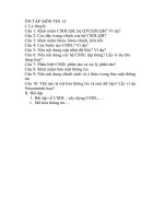 CƯƠNG ÔN TẬP MÔN TIN 12 pdf